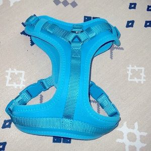 Light blue harness for small dog